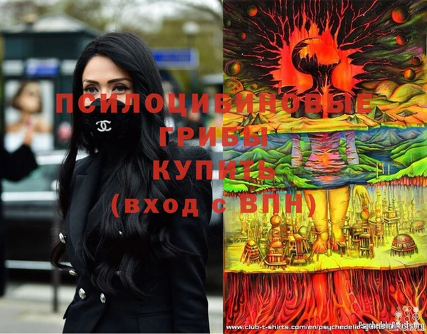 сатива Бронницы