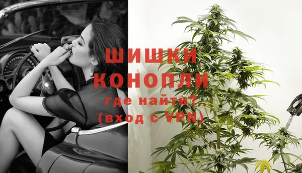 молекула духа Бородино