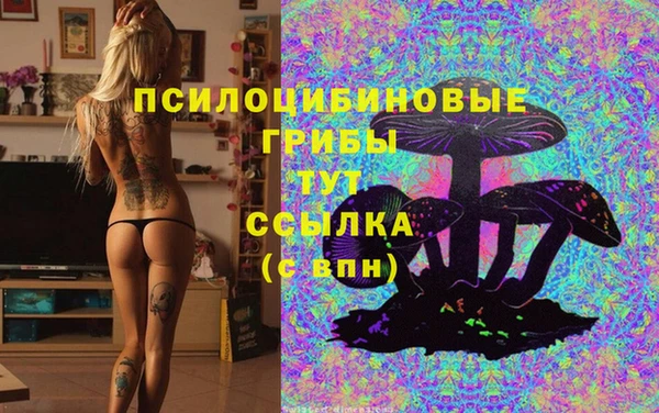 сатива Бронницы