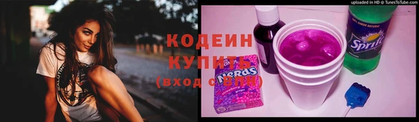 молекула духа Бородино