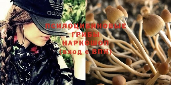 сатива Бронницы