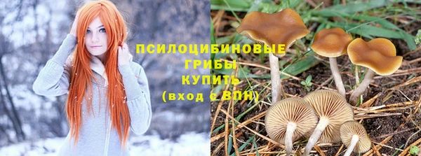 сатива Бронницы