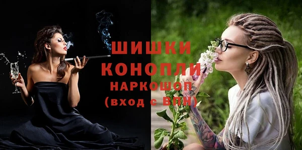 сатива Бронницы