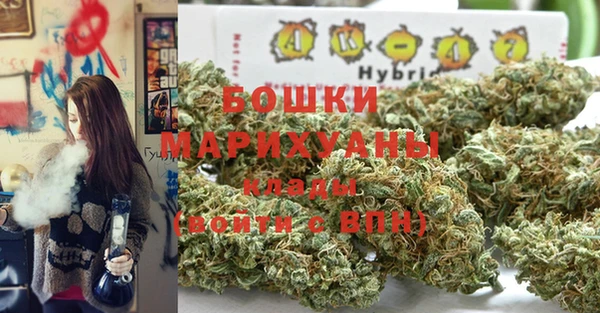 молекула духа Бородино
